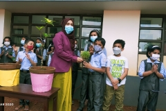 environment-day-3